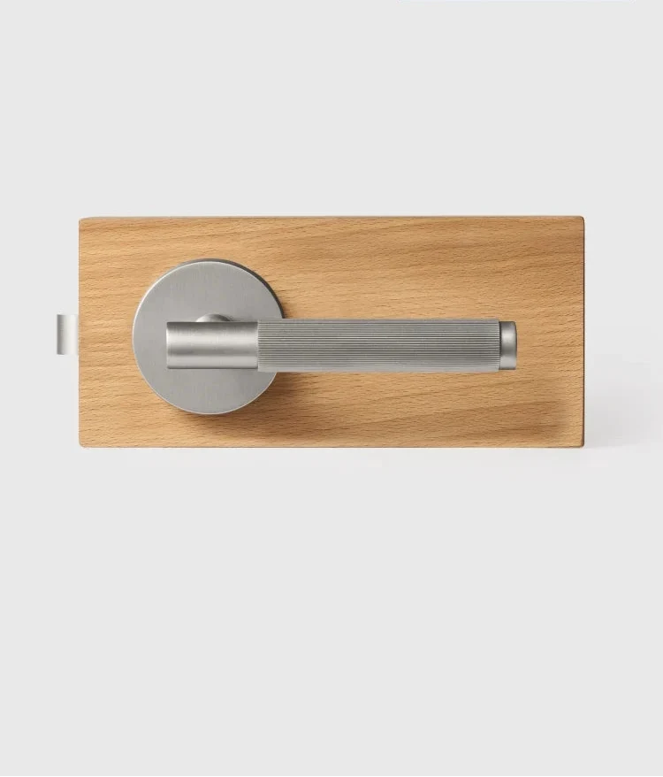Elegant Brass Door Handle Set