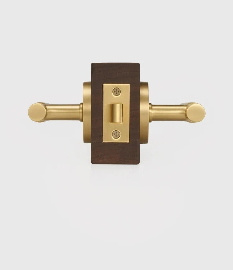 Elegant Brass Door Handle Set