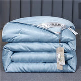 Luxurious Mulberry Silk Quilt
