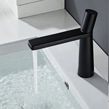 Elegant Stainless Steel Bathroom Faucet