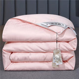 Luxurious Mulberry Silk Quilt