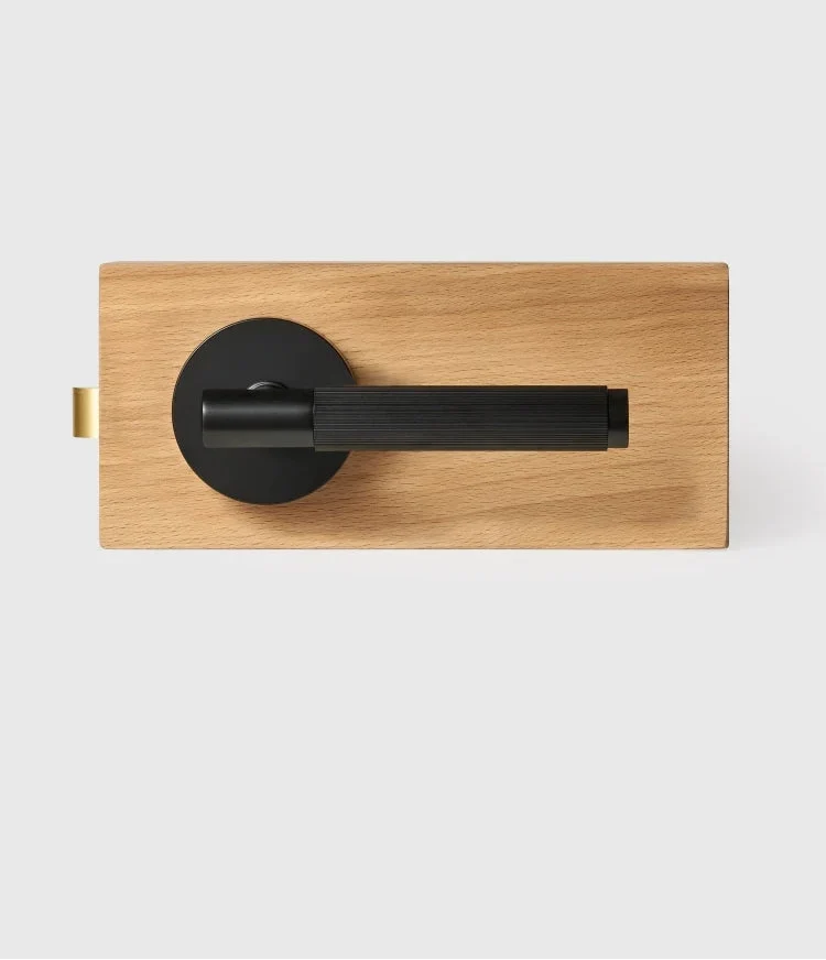 Elegant Brass Door Handle Set