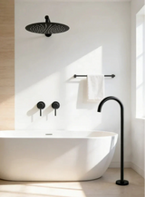 Elegant Dual Function Shower Faucet
