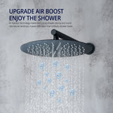 Elegant Dual Function Shower Faucet